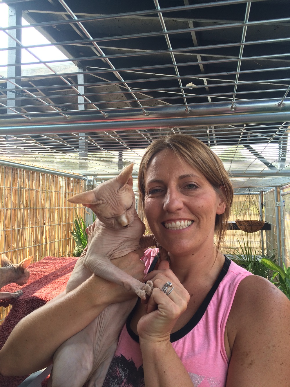 Apple Annie Sphynx