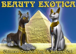 Beauty Exotica
