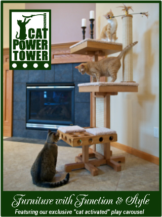 Cat Power Tower