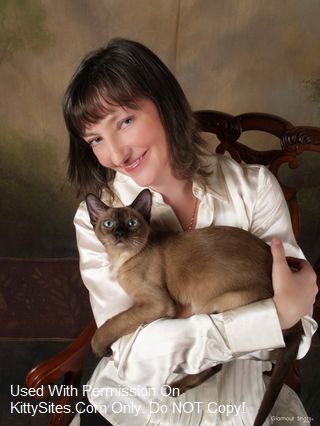 Tonkinese Cat Breeders At