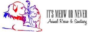 It's Meow or Never Animal Rescue & Sanctuary
