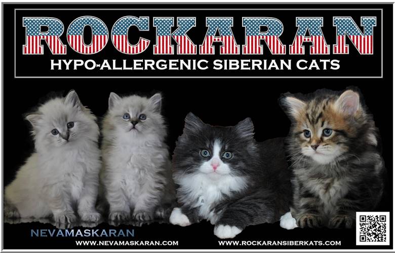 RocKaRanSiberKats